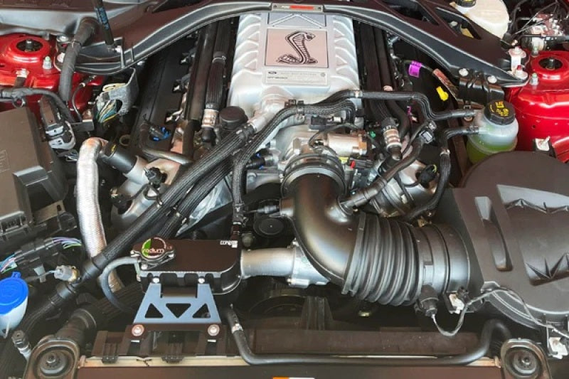 Radium Engineering 2015+ Ford Mustang GT / Boss 302 / V6 Coolant Tank Kit - 20-0286