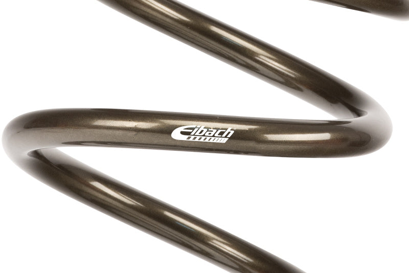 Eibach ERS 16in L x 3.50in OD Platinum Rear Spring - 100 lbs/in - P1600.350.0100