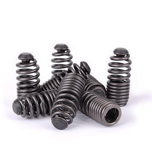 Load image into Gallery viewer, Skunk2 Honda/Acura VTEC B Series Spring Type Lost Motion Assembly Kit - 312-05-0200