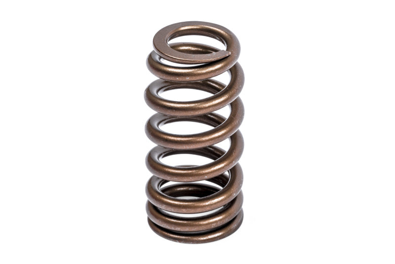 APR Audi/Bentley/Lamborghini/Porsche/Volkswagen Valve Spring Kit - Single - MS100258