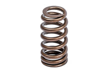 Load image into Gallery viewer, APR Audi/Bentley/Lamborghini/Porsche/Volkswagen Valve Spring Kit - Single - MS100258