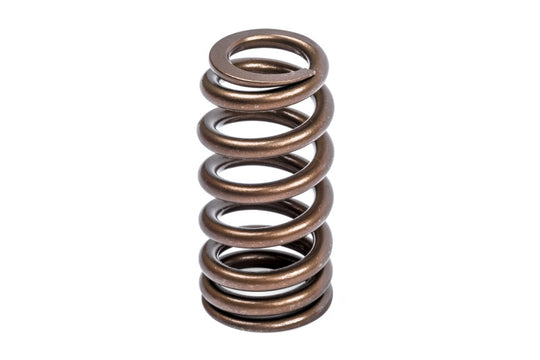 APR Audi/Bentley/Lamborghini/Porsche/Volkswagen Valve Spring Kit - Single - MS100258