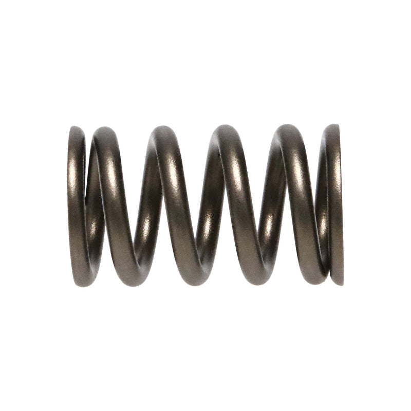 Manley 90-06 Mitsubishi (4G63-4G63T) 16pc Valve Springs (1.100/.775) - 22125-16