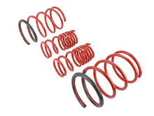 Load image into Gallery viewer, Skunk2 02-05 Honda Civic Si Hatchback Lowering Springs (2.25in - 2.00in.) (Set of 4) - 519-05-1575