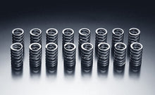 Load image into Gallery viewer, HKS 85-91 Toyota Corolla GTS / 85-89 MR2 Valve Spring Set - 2201-RT004