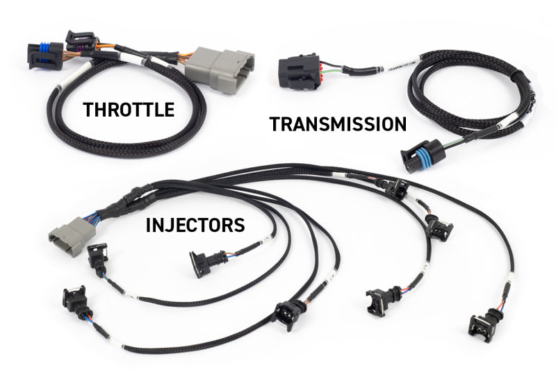 Haltech NEXUS Rebel LS Gen III Cable Throttle/EV1 Injectors/Manual Transmission - HT-220201