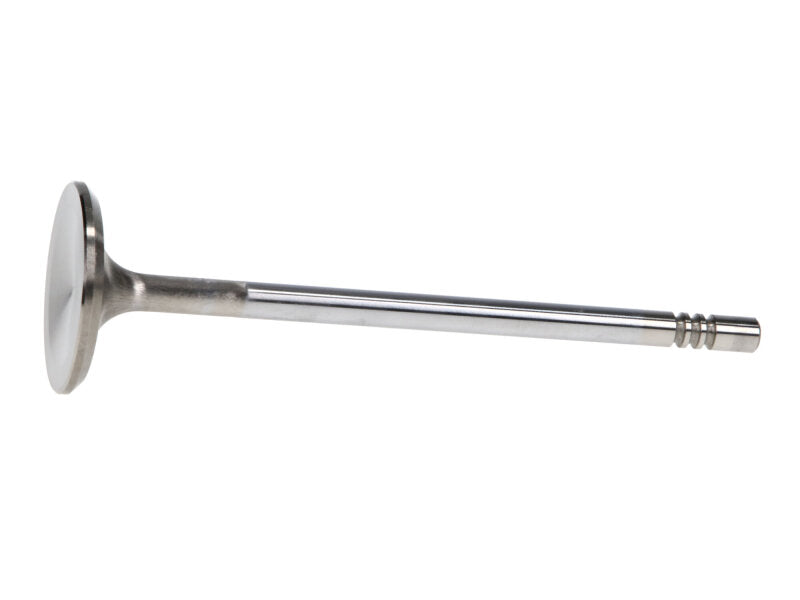 Manley Ford 4.6L 34mm Diameter 117.35mm Length Race Master Exhaust Valves (Set of 8) - 11630-8