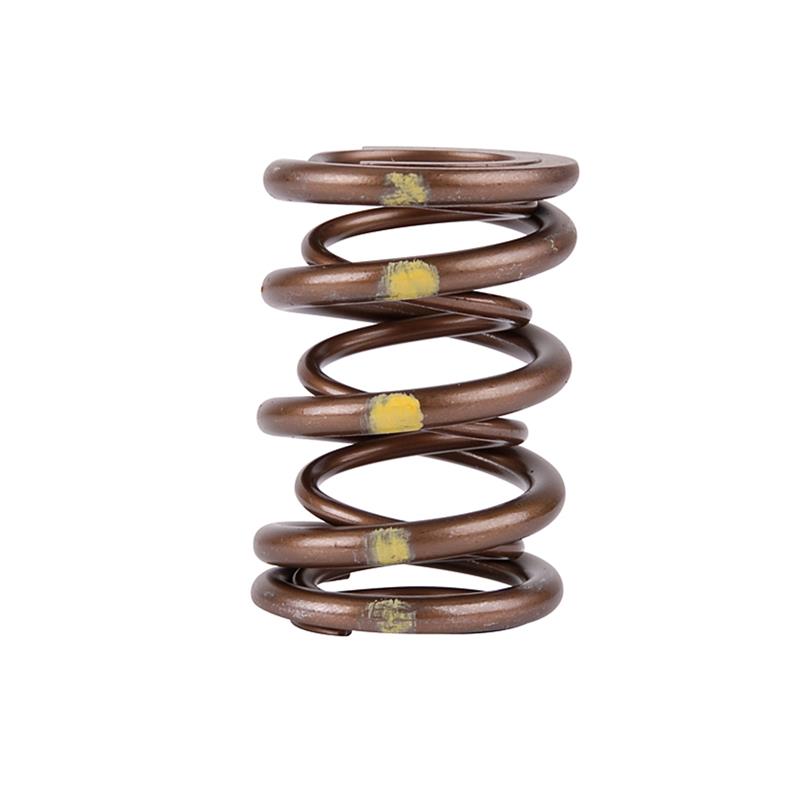 Skunk2 Pro Series Honda/Acura B-Series VTEC XP Valve Spring Set (Dual Springs) - 311-05-7350