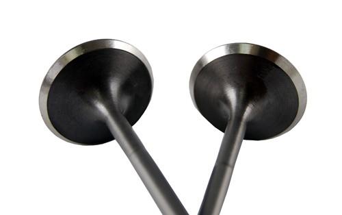 BLOX Racing High Compression Intake Valve Set for Honda F20C (set of 8) - BXPT-20204