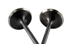BLOX Racing High Compression Intake Valve Set for Honda F20C (set of 8) - BXPT-20204