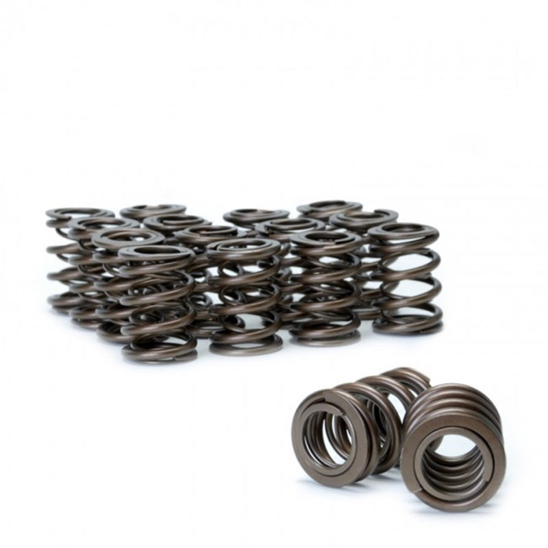 Skunk2 Tuner Series Honda/Acura (B16A/ B17A/ B18C) DOHC VTEC Alpha Valve Spring Set (Dual Springs) - 311-05-1350