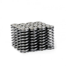 Load image into Gallery viewer, Skunk2 Alpha Series Honda/Acura D Series Valve Spring and Titanium Retainer Kit - 344-05-1350