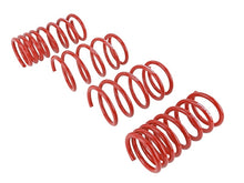 Load image into Gallery viewer, Skunk2 2013 FR-S/BRZ/FT86 Lowering Springs (Set of 4) - 519-12-1001
