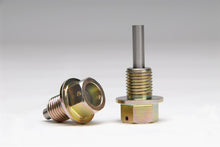 Load image into Gallery viewer, Skunk2 Honda/Acura Magnetic Drain Plug Set (Oil and Trans. Pan Plugs) - 657-05-0030