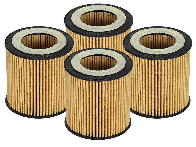 aFe Pro GUARD D2 Oil Filter 06-19 BMW Gas Cars L6-3.0T N54/55 - 4 Pack - 44-LF029-MB