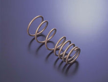 Load image into Gallery viewer, Tein 02-06 Altima H. Tech Springs - SKP38-BUB00