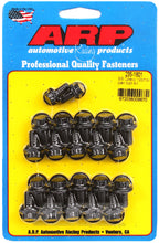 Load image into Gallery viewer, ARP BB Chevy 12pt Oil Pan Bolt Kit - 235-1801