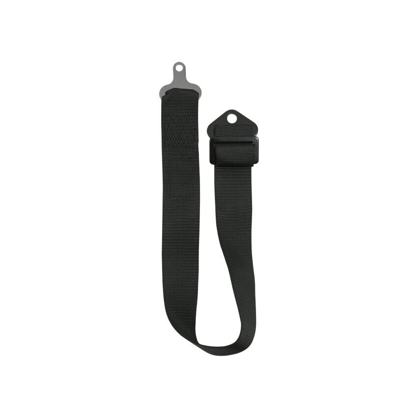 RaceQuip Black SFI CAMLOCK 5pt PD Lap Seat Belt - 741001RQP