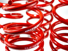 Load image into Gallery viewer, Skunk2 12 Honda Civic Lowering Springs (2.25 - 2.00in) (Set of 4) - 519-05-1585