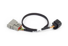 Load image into Gallery viewer, Haltech NEXUS Rebel LS 6-Pin DBW Adaptor - HT-186505