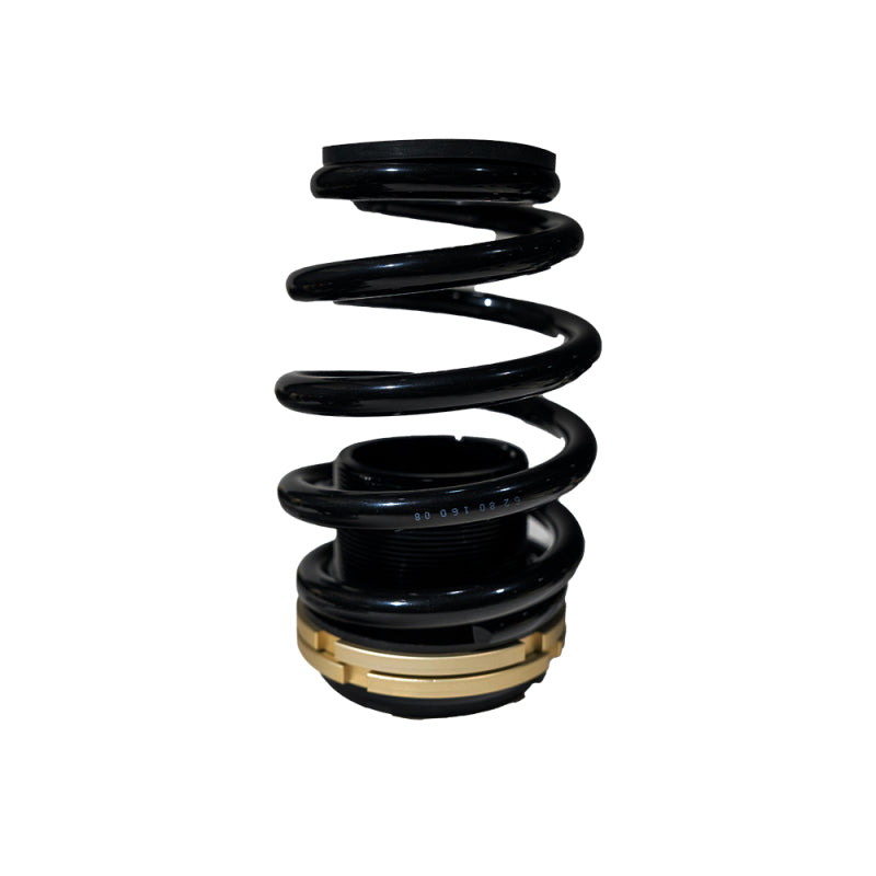 BLOX Racing 14-15 Honda Civic Si Plus Series Fully Adjustable Coilovers - BXSS-00121