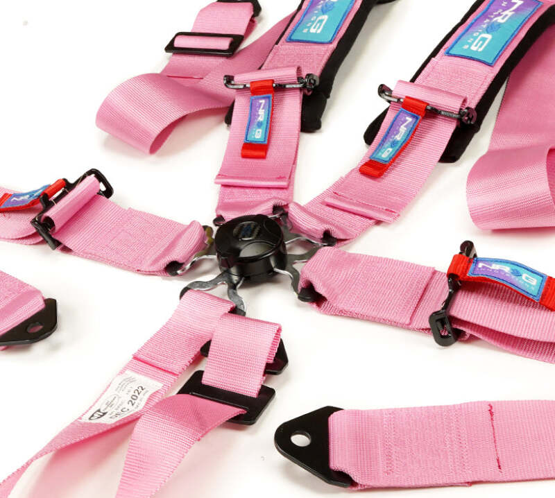 NRG 5PT 3in. Seat Belt Harness / Cam Lock - Pink - SBH-B6PCPK