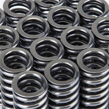 Load image into Gallery viewer, Skunk2 Alpha Series Honda D Series VTEC Valve Spring Set - 311-05-1345