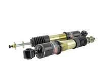 Load image into Gallery viewer, Skunk2 14-15 Honda Civic Pro ST Coilovers - 541-05-8770