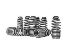 Load image into Gallery viewer, Skunk2 Honda/Acura VTEC B Series Spring Type Lost Motion Assembly Kit - 312-05-0200