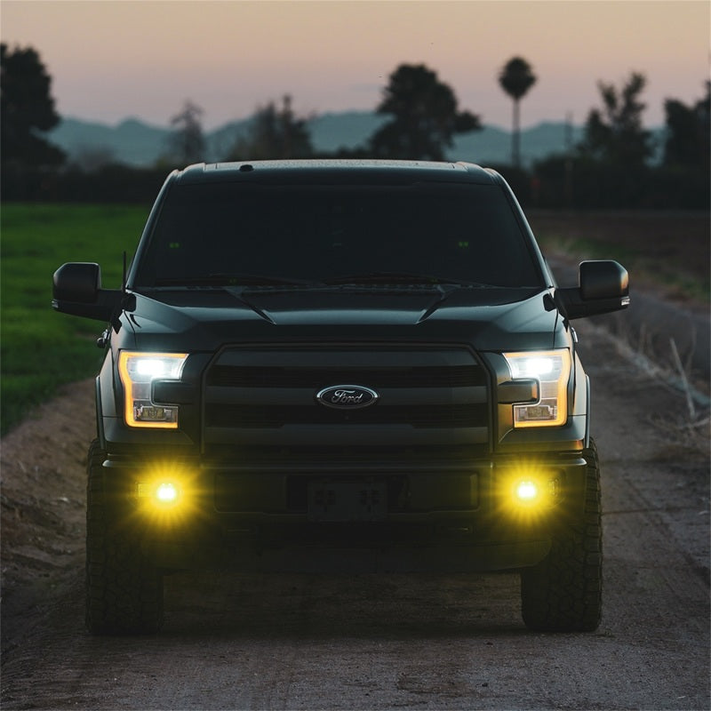 Rigid Industries D-Series SAE Fog Yellow/White Pair - 50482