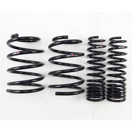 RS-R 08+ Mitsubishi Evolution X (CZ4A) Down Sus Springs - B250D
