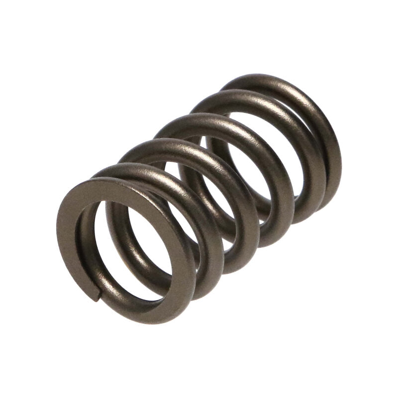 Manley 90-06 Mitsubishi (4G63-4G63T) 16pc Valve Springs (1.100/.775) - 22125-16