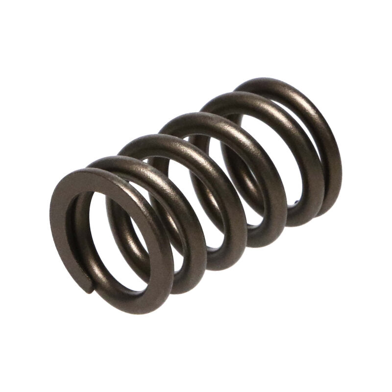 Manley Nissan (RB26DET) 24pc Valve Springs - 22175-24