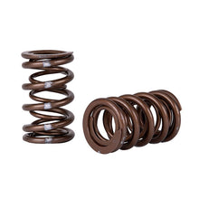 Load image into Gallery viewer, Skunk2 Pro Series Honda/Acura K-Series i-VTEC XP Valve Spring Set (Dual Springs) - 311-05-7380