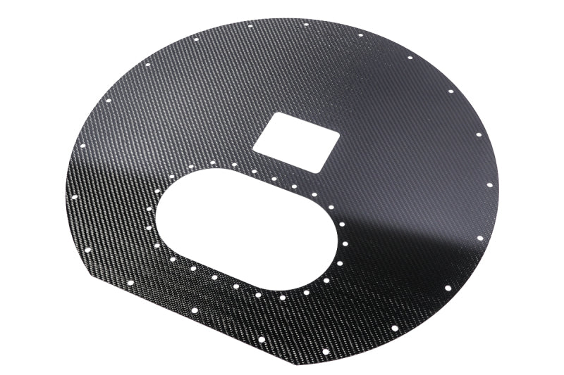 Radium Engineering Carbon Fiber Fuel Cell Lid - Spare Tire Cell - 13-0411-01
