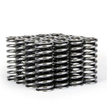 Load image into Gallery viewer, Skunk2 Alpha Series Honda D Series VTEC Valve Spring Set - 311-05-1345