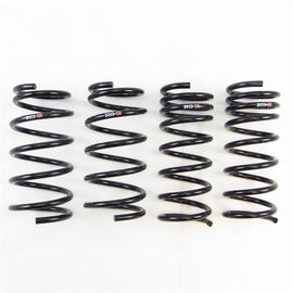 RS-R 13-16 Scion FR-S (ZN6) Down Sus Springs - T065D