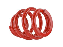 Load image into Gallery viewer, Skunk2 Universal Race Spring (Elliptical) - 6 in.L - 2.5 in.ID - 14kg/mm (0600.250.014E) - 521-99-1160