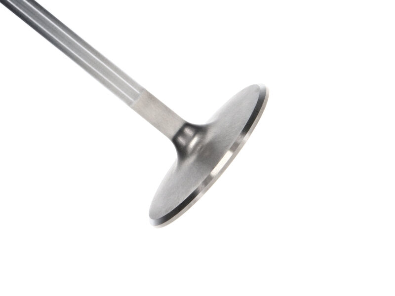 Manley Chevrolet Big Block Intake Valve Kit - 2.300in Head Dia. 5.244in O/A Length, 0.3110in Stem - 12780-8