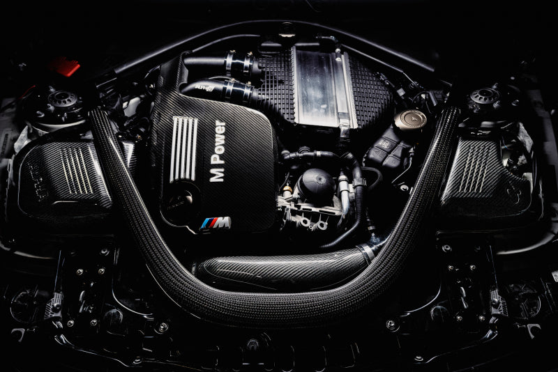 AMS Performance 15-18 BMW M3 / 15-20 BMW M4 w/ S55 3.0L Turbo Engine Carbon Fiber Intake - AMS.39.08.0001-1