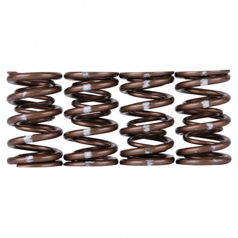 Skunk2 Pro Series Honda/Acura B-Series VTEC XP Valve Spring Set (Dual Springs) - 311-05-7350