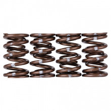 Load image into Gallery viewer, Skunk2 Pro Series Honda/Acura B-Series VTEC XP Valve Spring Set (Dual Springs) - 311-05-7350