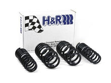 Load image into Gallery viewer, H&amp;R 96-01 Audi A4 Quattro (AWD) B5 Sport Spring - 50396