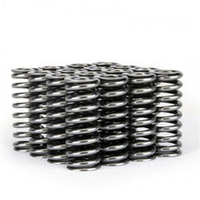 Load image into Gallery viewer, Skunk2 Alpha Series Honda D Series VTEC Valve Spring Set - 311-05-1345