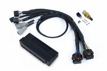 Load image into Gallery viewer, Haltech NEXUS S2/S3 Plug-n-Play Adapter Harness