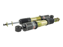 Load image into Gallery viewer, Skunk2 12-13 Honda Civic Si Pro ST Coilovers - 541-05-8760