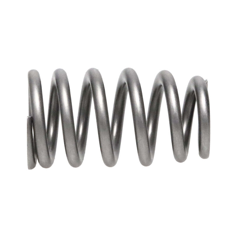 Manley Chrysler Hemi 6.4L NexTek Series High Performance Valve Springs .650 Max Lift - 221439-16