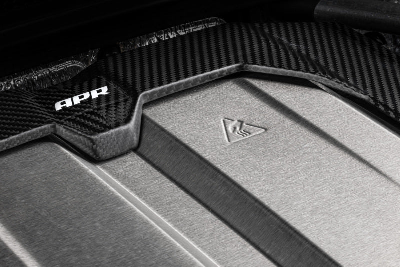 APR 21-26 Audi RS6 Avant/RS7 Sportback EA825 (C8) 4.0T Carbon Fiber Engine Cover - MS100253