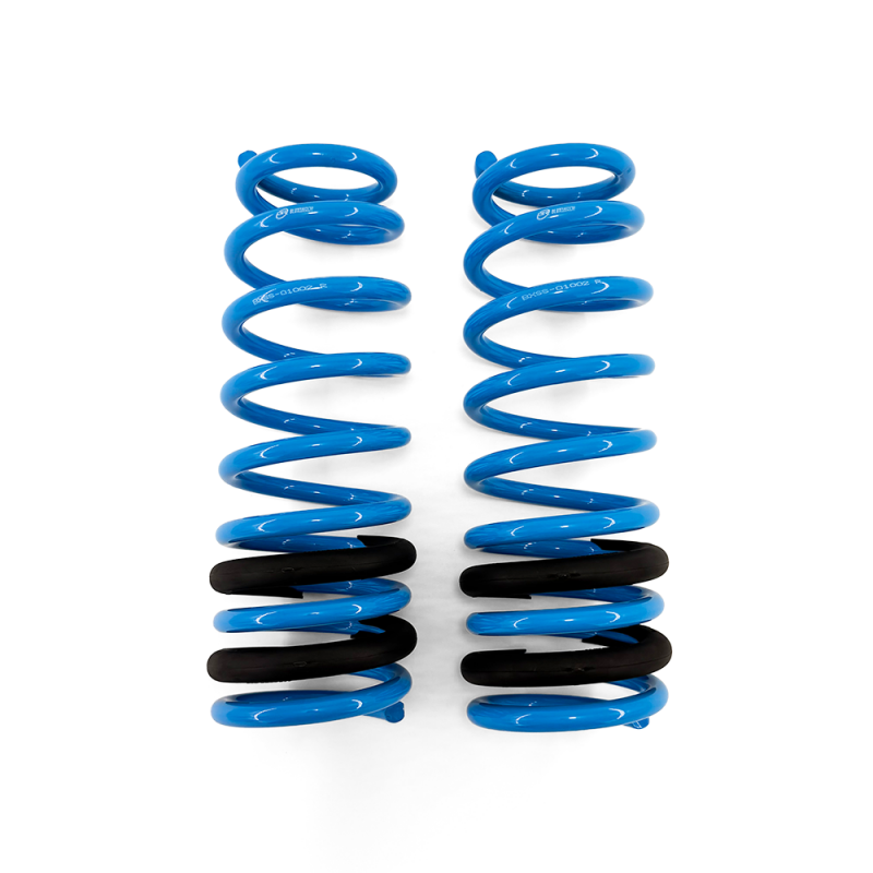BLOX Racing Lowering Springs 96-00 Honda Civic - BXSS-01002