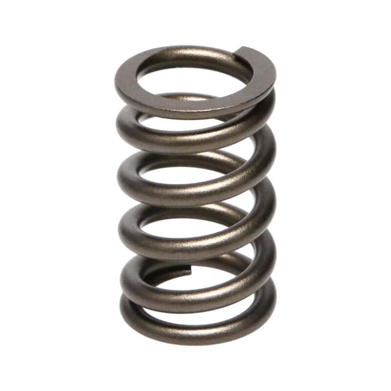 Manley Valve Spring, SPRING-NISSAN PATROL TB48 - 22155-24